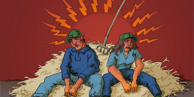 Landwirte sind tendenziell häufiger von Burnout betroffen als die übrige Bevölkerung, zeigte eine Studie von Agroscope und der ZHAW. (Bild Agroscope)