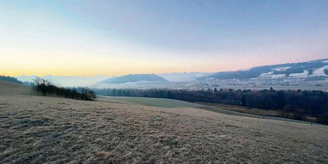 In den Böden des Schweizer Mittellandes fehlt Mangan. Das allein ist aber nicht der Grund, dass es zu Mangelerscheinungen beim Rindvieh kommt. Oft hilft Mais nach.