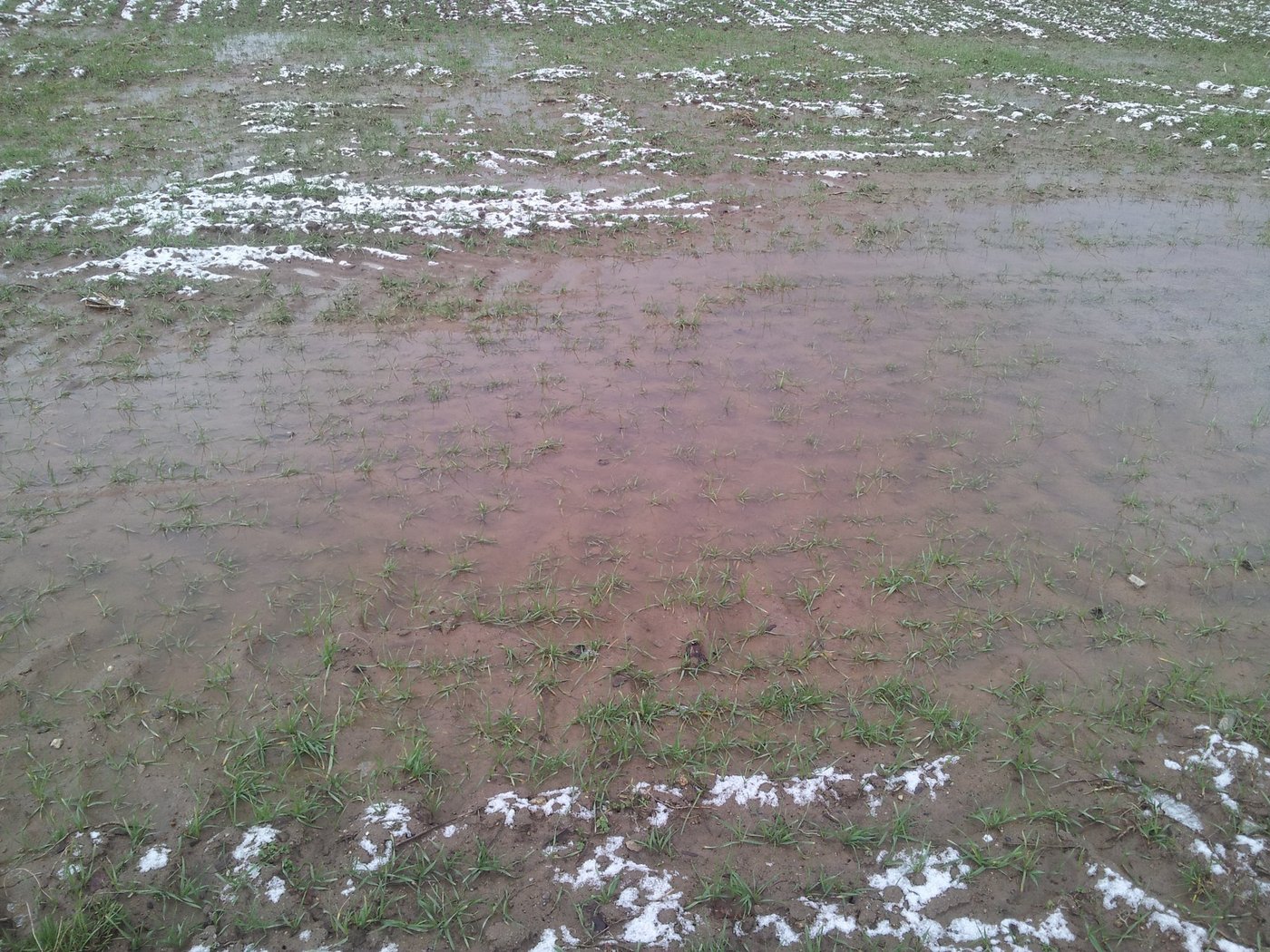 Ein naturbedingtes Erosionsereignis kann nicht nur bei Extremniederschlägen vorkommen. (Bild BauZ)