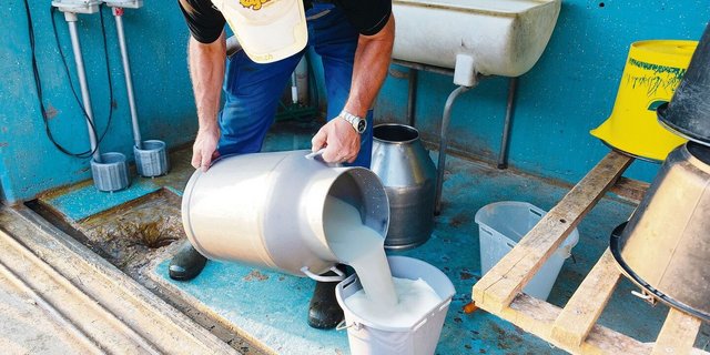 Über das Einkommen der Milchbauern wird letztlich auch in Brüssel entschieden.