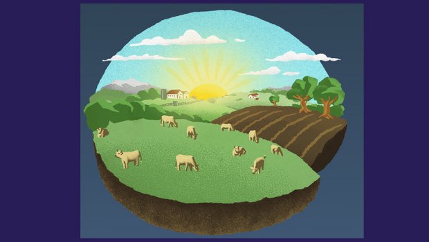 «Die Bäuerinnen und Bauern dürfen bei der Herausforderung einer Betriebsumstellung nicht allein gelassen werden. Sie brauchen starke Partner aus Praxis, Forschung und Handel», heisst es auf der Info-Webiste der Bio-Stiftung Schweiz. (Bild Screenshot pestizidmythen.ch)