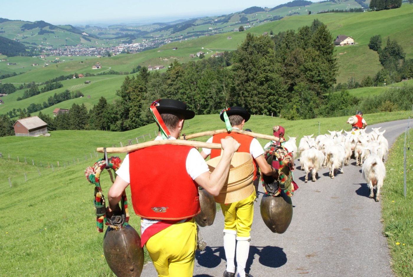 Die Geissen führen den Zug an. Blick nach Appenzell. (Bilder Michael Götz)