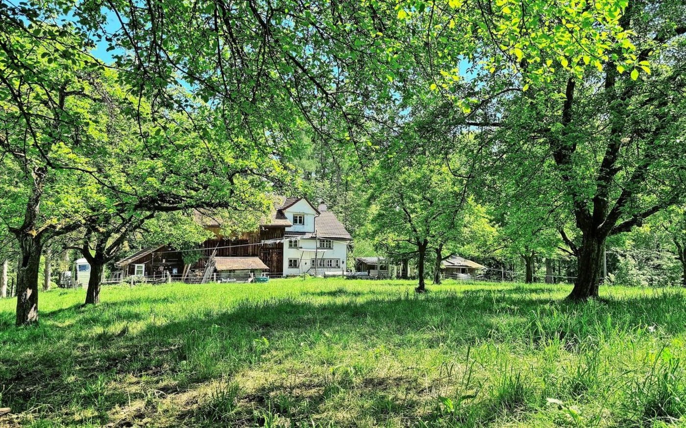 Inmitten von Hochstammobstgärten und umgeben vom Wald stellt die Kräuterfrau Produkte aus Wildkräutern her.  