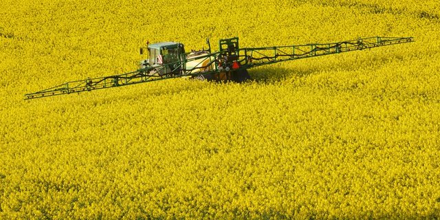 Die EFSA macht Forderung nach Offenlegung von Studien zur Pflanzenschutzmittelzulassung. (Bild zVg)