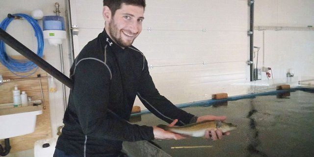 Zehn Monate verbringen die Zander in den Becken von Matthias Widmer. Dann werden sie im Nachbarort geschlachtet sowie geräuchert, filetiert oder zu Knusperli weiterverarbeitet. 