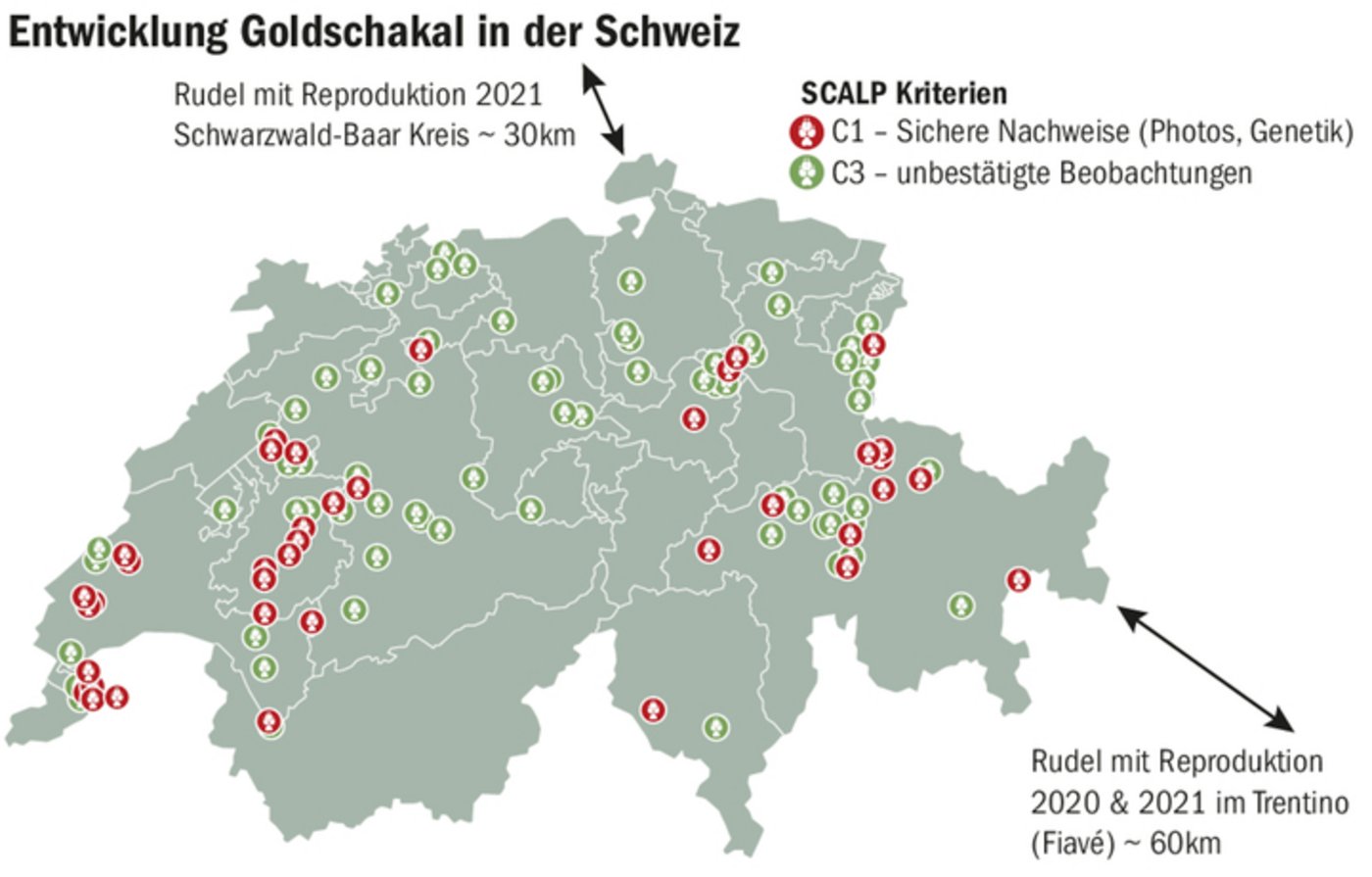 Die Karte der Stiftung Kora zeigt sichere Nachweise und unbestätigte Beobachtungen in der Schweiz zwischen 2011 und März 2022.  