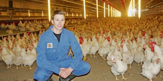 Der 30-jährige Betriebsleiter ist fasziniert vom Federvieh. Doch das war nicht immer so. Die Liebe zur Landwirtschaft hat er erst über Umwege entdeckt. (Bilder Andrea Wyss)