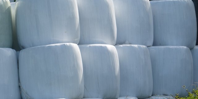 In der Schweiz werden Folien aus der Landwirtschaft in der Regel nach einmaligem Gebrauch verbrannt. (Bild Pixabay)