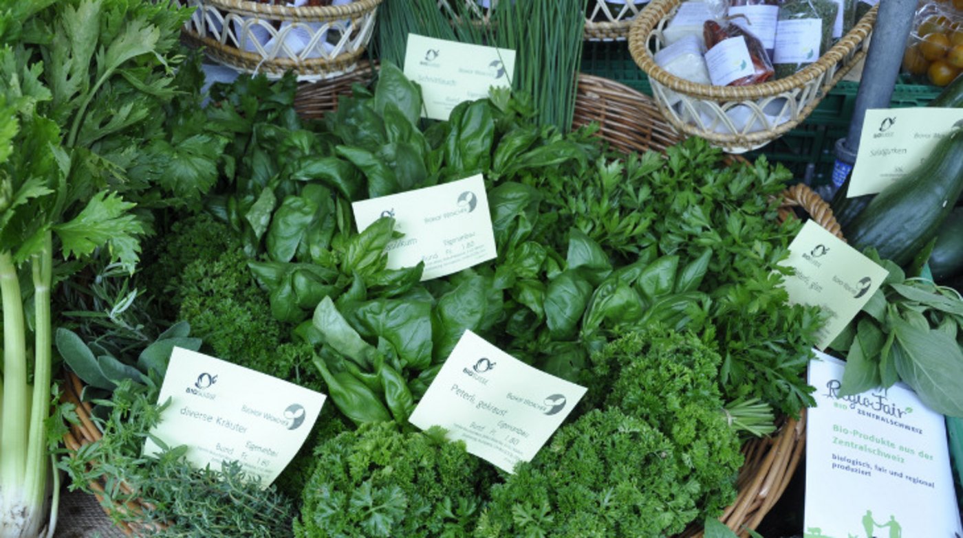 Die Absenkpfade seien mutig zu beschreiten, mit Bio in einer wichtigen Rolle. (Bild Bio Suisse)