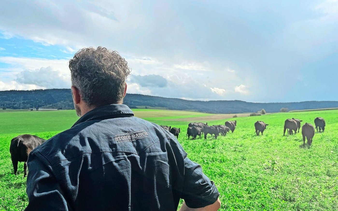 Auf der Stone Ranch weidet eine 150 köpfige Angusherde.