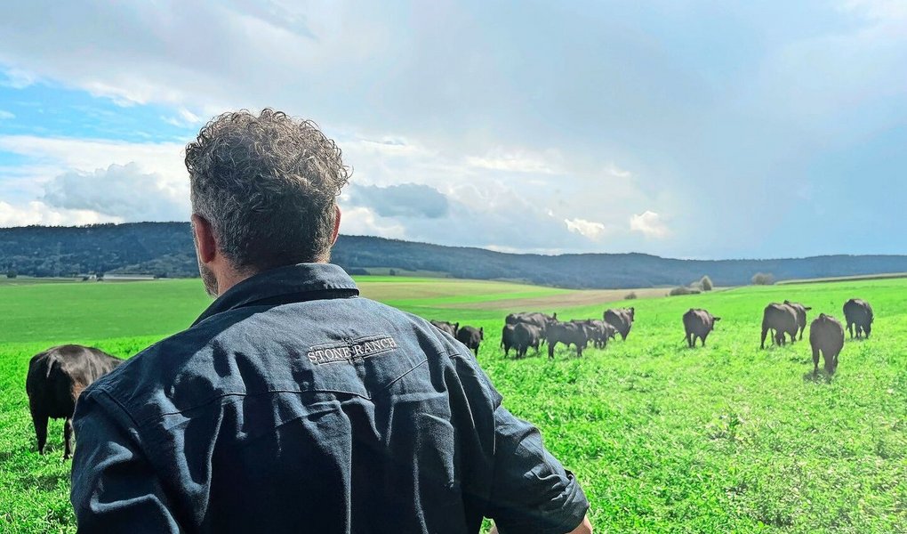 Auf der Stone Ranch weidet eine 150 köpfige Angusherde.