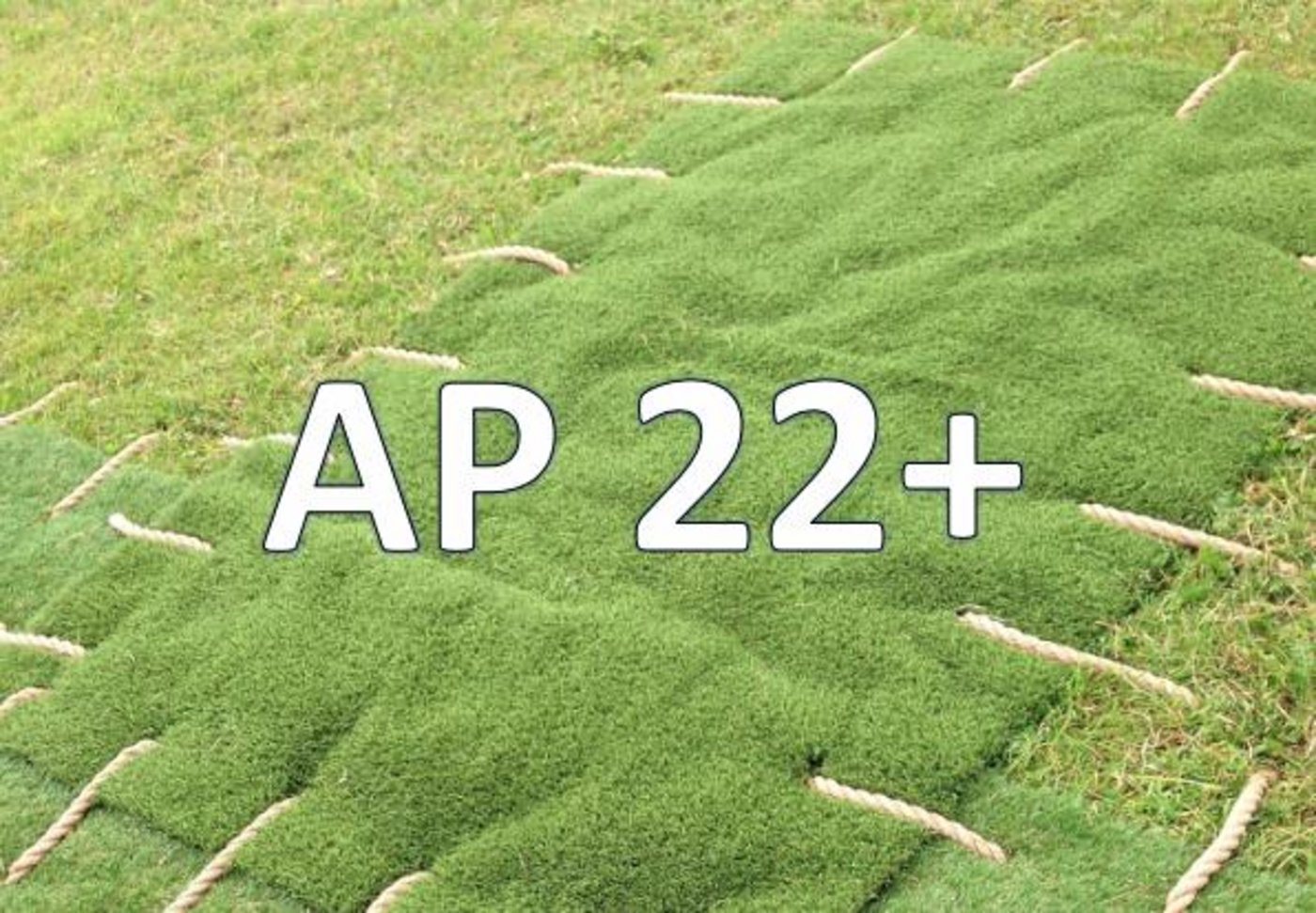 Die erste gesamtheitliche Betrachtung der Laka fiel mehrheitlich negativ aus. (Bildmontage Bauz/Pixabay)