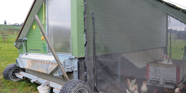 Mobilställe für Geflügel werden in der Bioproduktion immer beliebter. Von der professionellen Lösung bis Marke Eigenbau ist alles dabei.