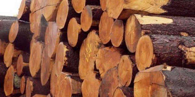 Wertvoller Rohstoff Holz:  Arbeiten können von ArchitektInnen, Projektierenden, Bauherrschaften, AuftraggeberInnen sowie Ausführenden und Kunstschaffenden eingereicht werden. (Bild: lid)