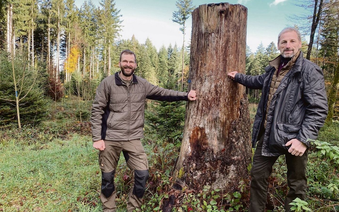 Martin Hafner, Präsident von Wald-Klimaschutz Luzern (l.), und Ruedi Gerber, Präsident von Wald Luzern, bei einer  ehemaligen Burglind- Sturmfläche im Willbrig-Wald der Korporation Willisau, wo der Jungwald dank guter Pflege schön gedeiht.