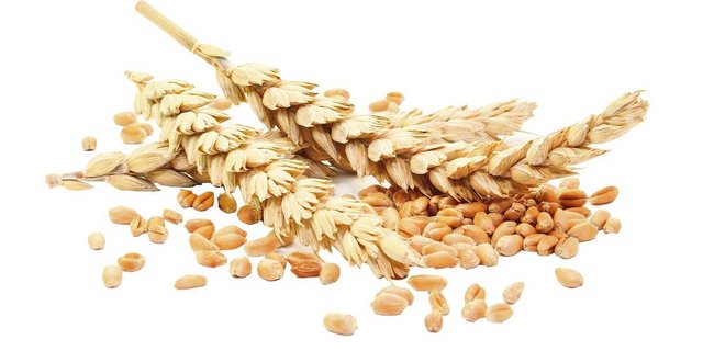 Die Importpreise für ausländisches Futtergetreide sind am Boden. Die Branche müsse jetzt reagieren.