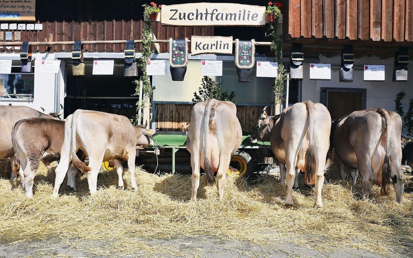 Die Töchter von Karlo Karlin von Alex Immoos erreichten mit 83 Punkten das kantonal beste OB-Ergebnis.