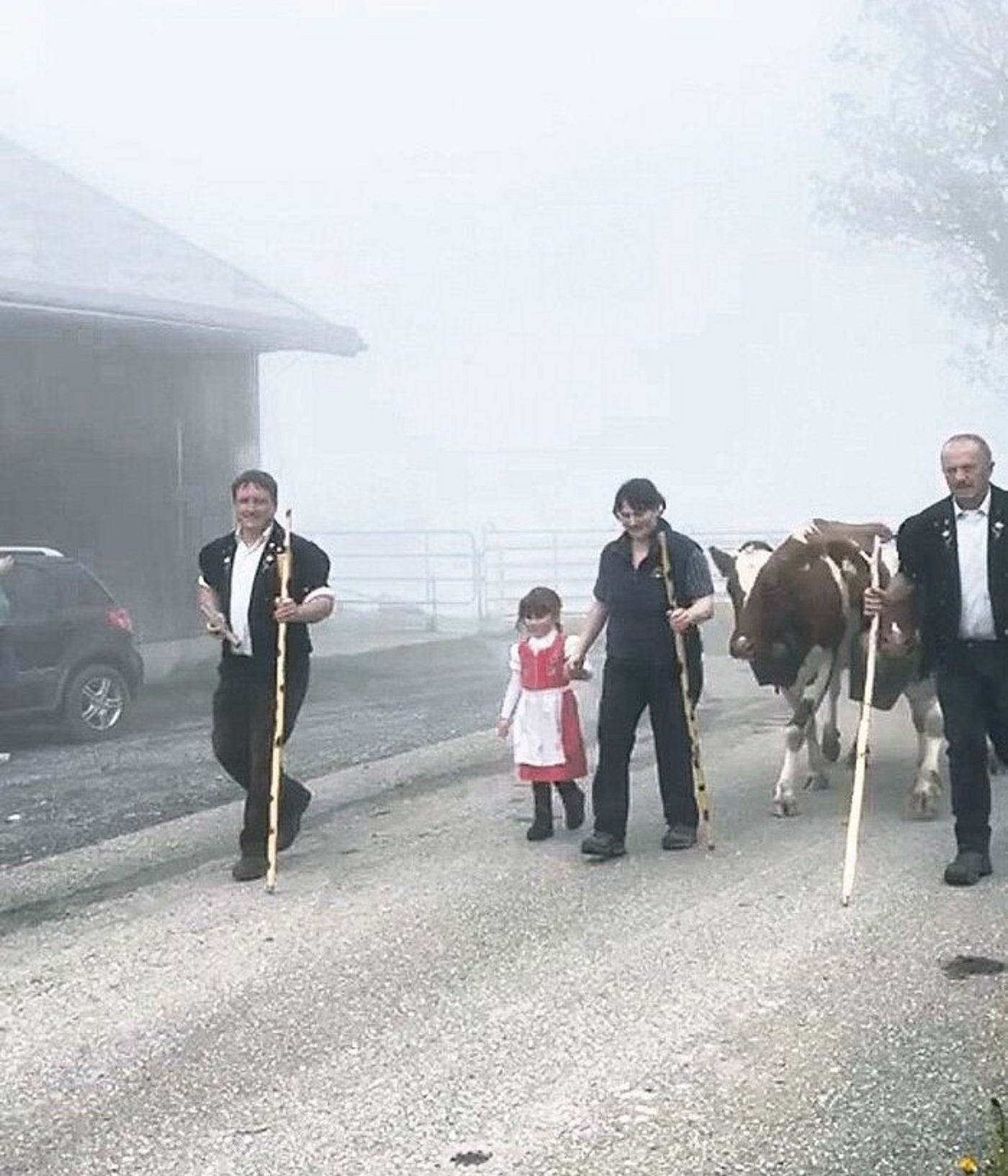 Beim Alpaufzug spielte das Wetter nicht so mit: Bis Marbach LU werden die Kühe geführt, dann geht es zu Fuss auf die Alp.