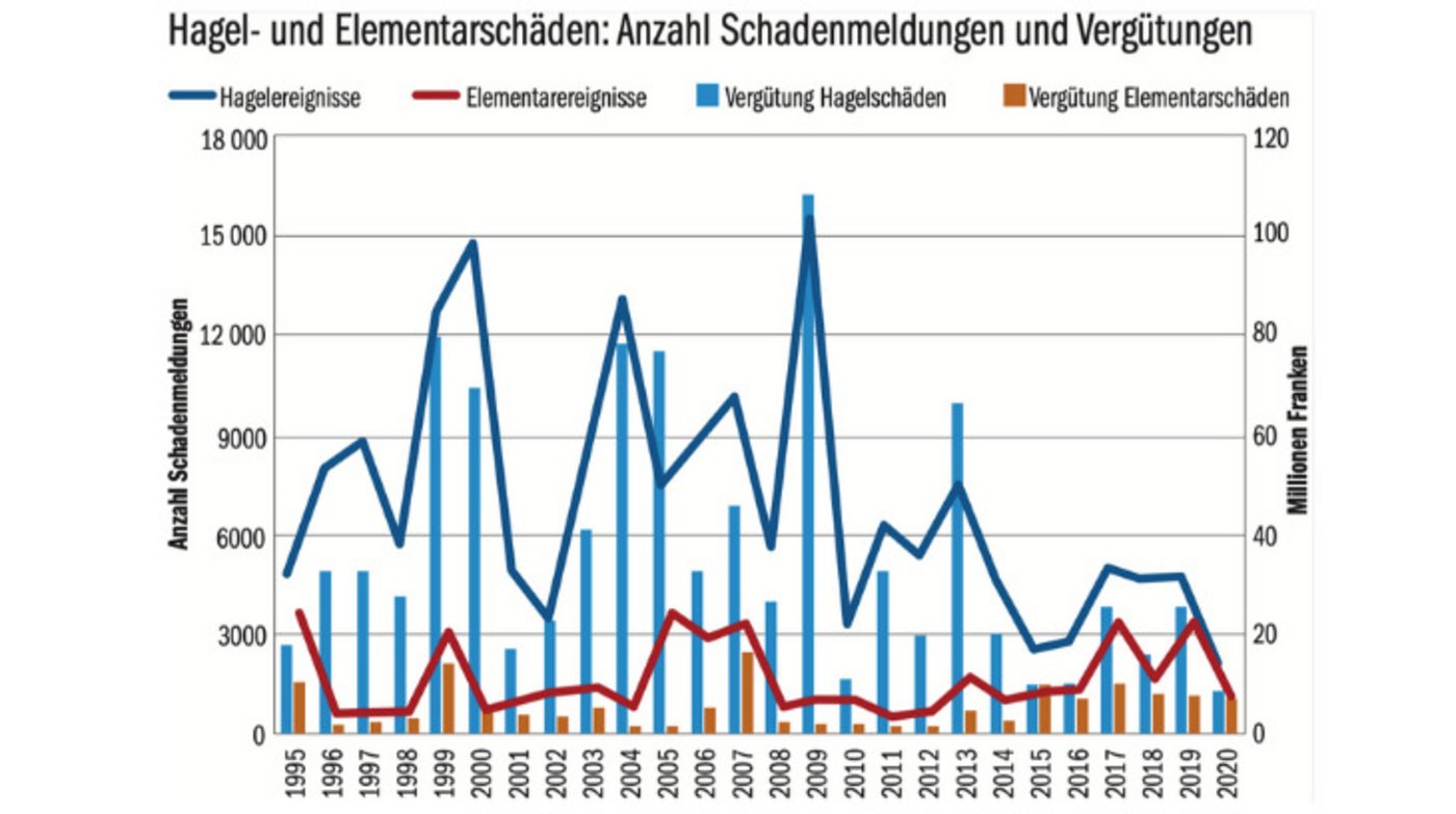 Vom 1. Juni bis 15. Juli gingen 9000 Schadenmeldungen ein. (Grafik agristat/BauZ)