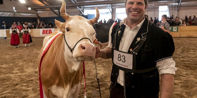 Schöne Kühe spielten schon immer eine grosse Rolle an der BEA – wie die Schweizer Landwirtschaft allgemein. (Bild BEA)