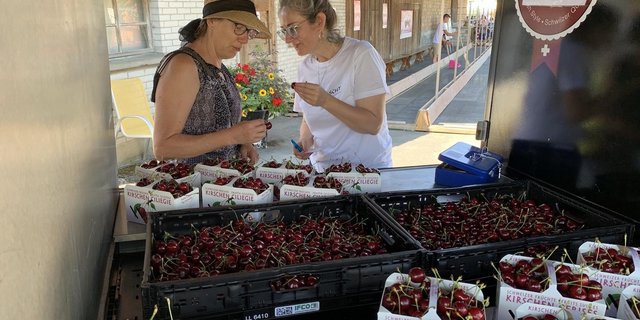 Am Chriesifäscht in Hitzkirch gab es auch grosse und knackige Kirschen zu kaufen. (Bilder Josef Scherer)