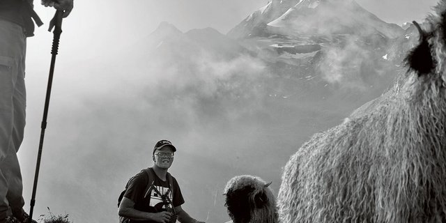 Rici und sein geliebtes Schwarznasenschaf, 2600 Meter über Meer.