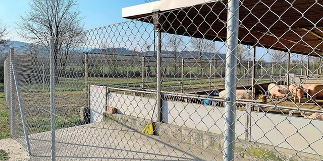 Grundanforderung für Biosec-Betriebe: wildschweinsichere Umzäunung von Ausläufen.