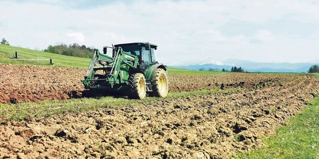 Der Pflug hat in der hiesigen landwirtschaftlichen Praxis immer noch einen hohen Stellenwert. Wenn pflügen, dann aber mit leichtem Traktor, rät Spezialist Bernhard Streit.
