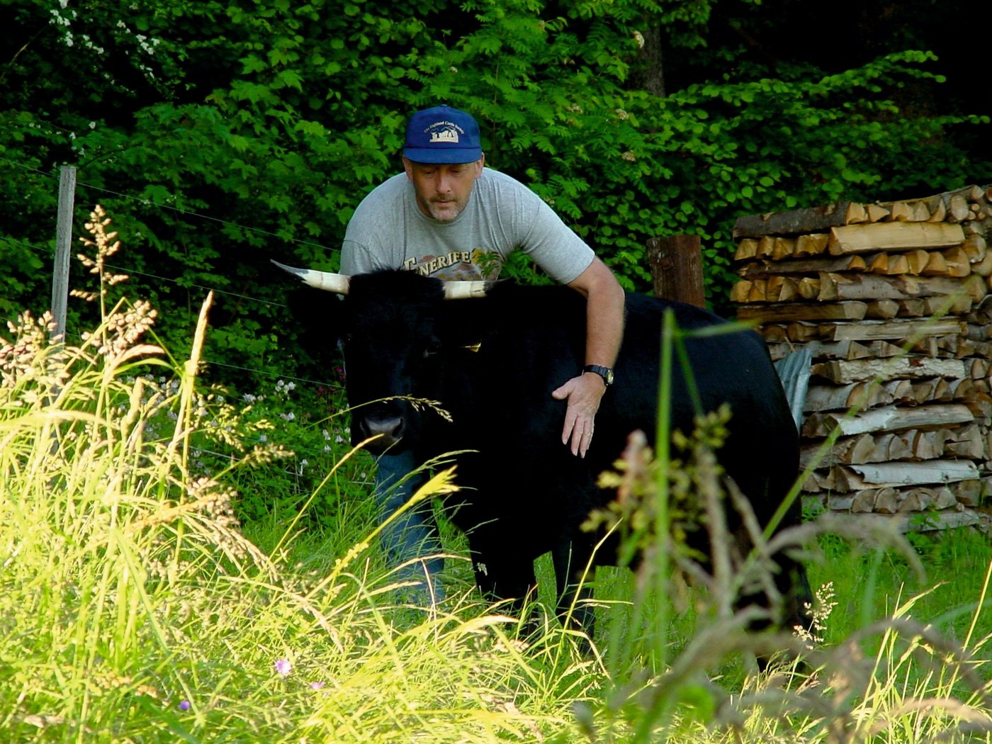 Beat Eggimann ist mächtig stolz auf seine kleine Bijoux. Die Dexterkuh entspricht den Zuchtzielen sehr schön. (Bild Beat Eggimann)