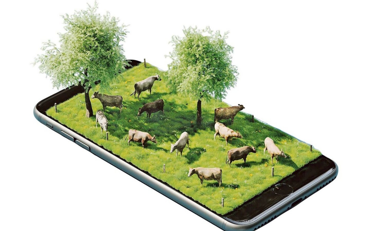 Das «Werbebild» von Smart Cow bringe es bestens auf den Punkt, findet Francesco De Benedetto.