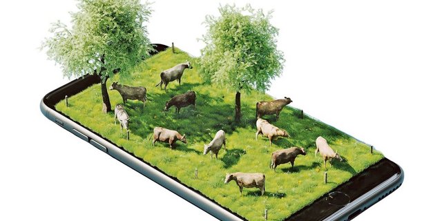 Das «Werbebild» von Smart Cow bringe es bestens auf den Punkt, findet Francesco De Benedetto.