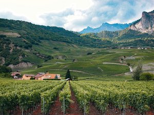 Eine flächenweise An Eine flächenweise Anmeldung der neuen Beiträge ist möglich, aber von Kanton zu Kanton unterschiedlich.