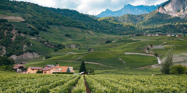 Eine flächenweise Anmeldung der neuen Beiträge ist möglich, aber von Kanton zu Kanton unterschiedlich.