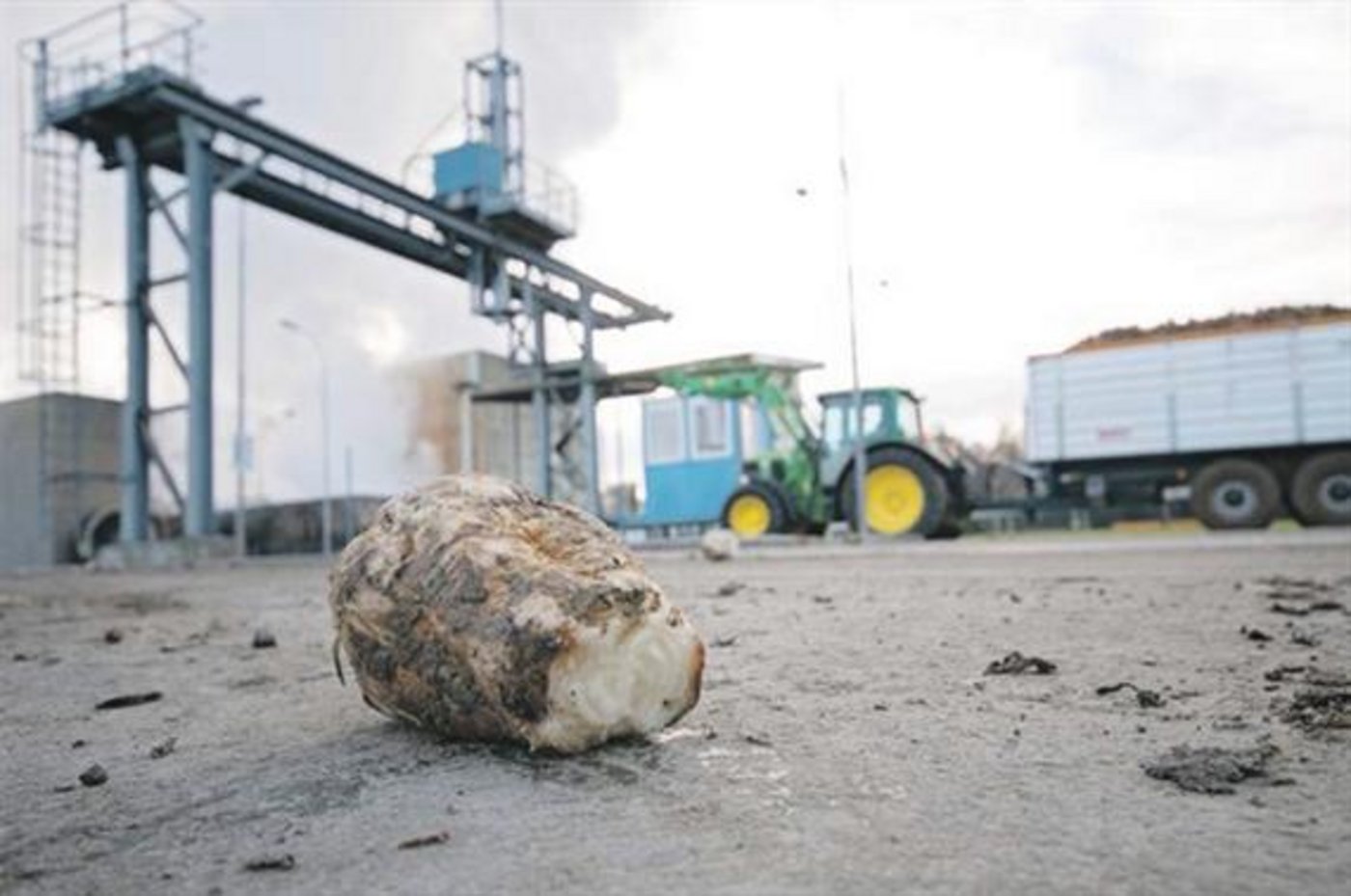 Aus Schweizer Zuckerrüben hergestellter Zucker schneidet laut einer neuen Studie in Sacken ökologischem Fussabdruck besser ab. (Bild iStock)