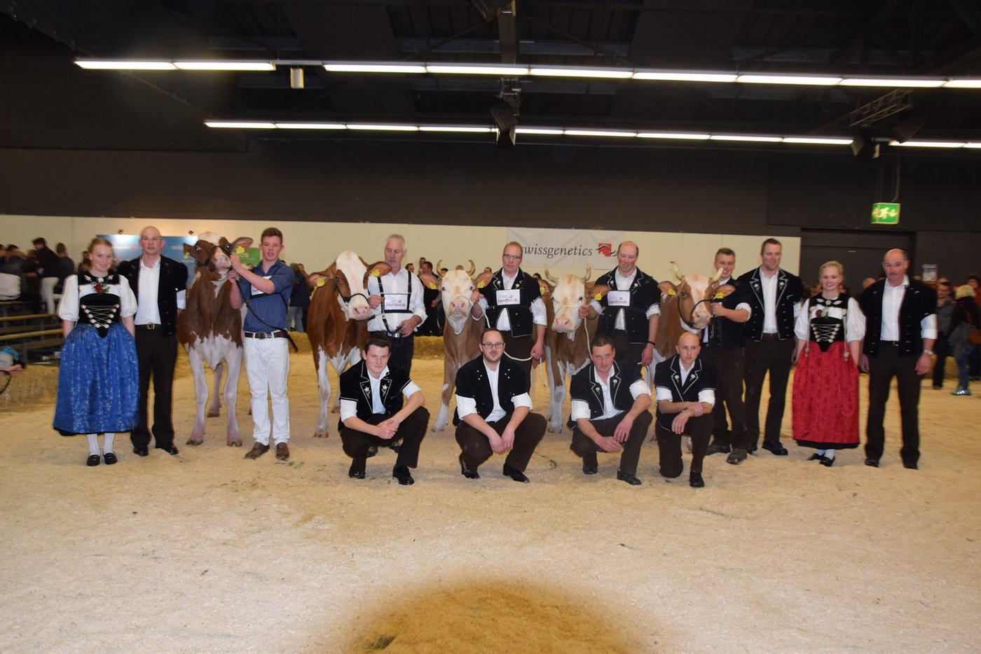 Heuer gibts leider keine solchen Bilder wie hier 2019: Die Berner Oberländische Verbandsschau wird abgesagt. (Bild Archiv)
