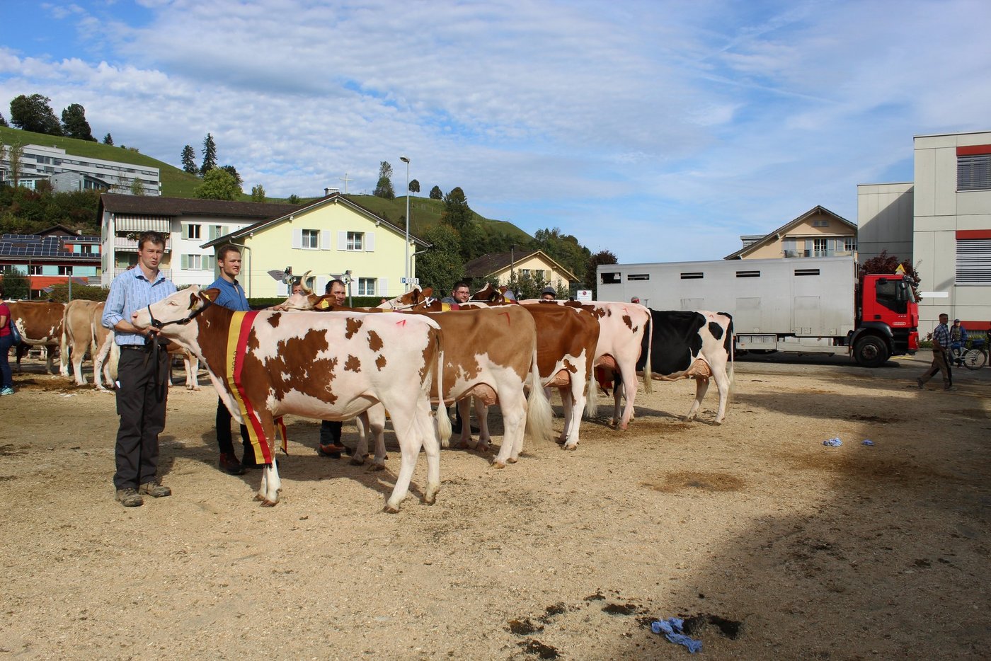 Die Regioschau in Willisau. (Bild Beat Aregger)