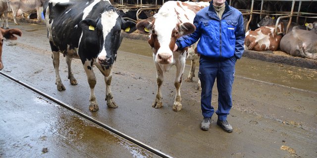 Markus Kaufmann, Ibenmoos, Kleinwangen hat bei den Laufgängen ein Quergefälle und Harnsammelrinnen eingebaut. (Bilder js)