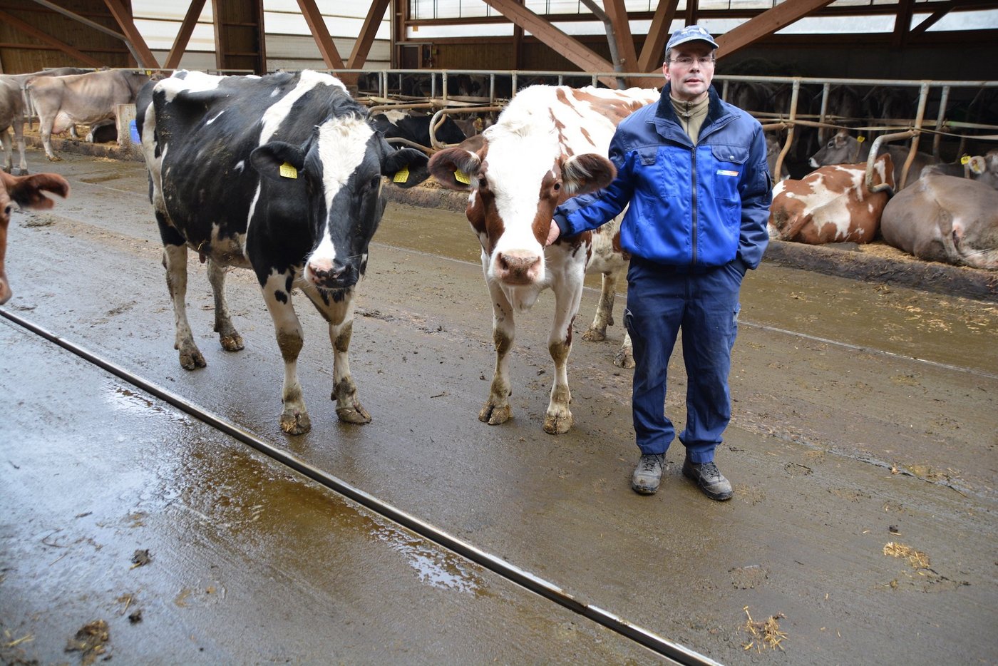 Markus Kaufmann, Ibenmoos, Kleinwangen hat bei den Laufgängen ein Quergefälle und Harnsammelrinnen eingebaut. (Bilder js)
