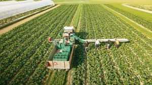 Robotik ist noch Zuk Robotik ist noch Zukunftsmusik. Nach wie vor braucht es in den Spezialkulturen, wie hier bei der Zucchetti-Ernte, viel Handarbeit.