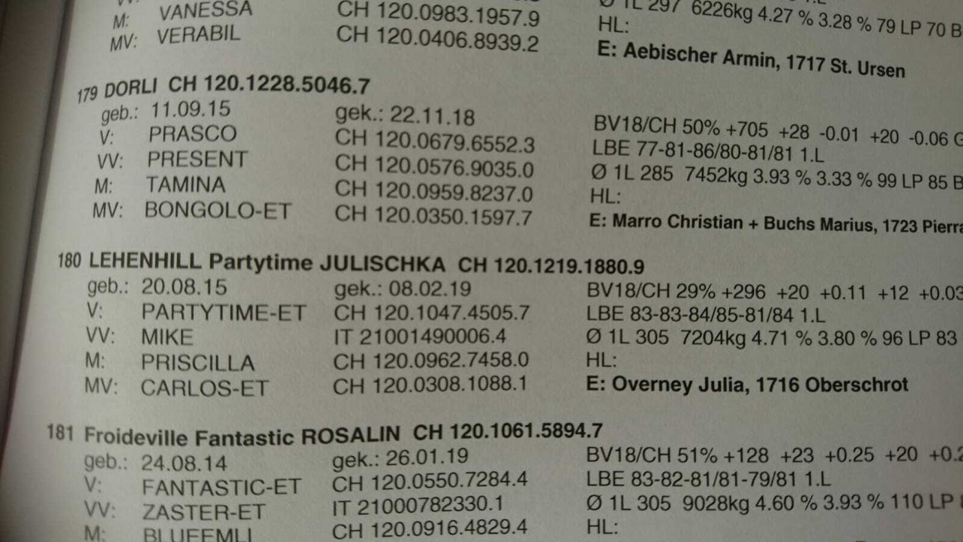 Jetzt gibt es kein Zurück mehr - wir sind angemeldet. (Bild joy)