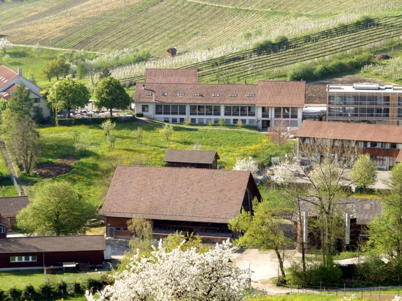 Der Schweizer Hauptsitz des FiBL in Frick AG. (Bild pd)