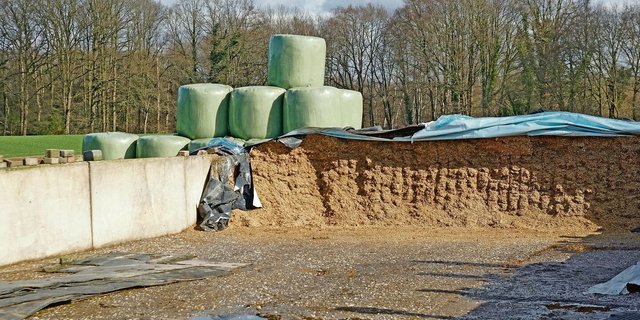 Wie gut ist die Qualität der Silage? Ist ein Ergänzungsfuttermittel notwendig? Um es genau zu wissen, ist jetzt Zeit, eine Futtermittelanalyse in Auftrag zu geben.