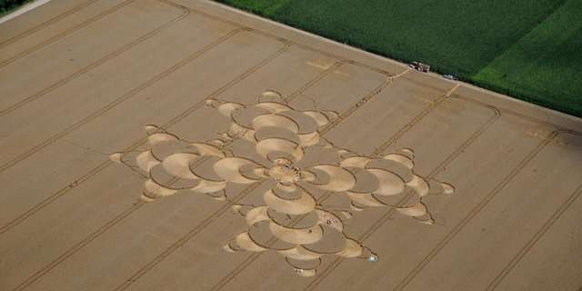 Von einem Kleinflugzeug aus sieht man das Muster des Kornkreises am besten. (Bilder Andreas Walker)