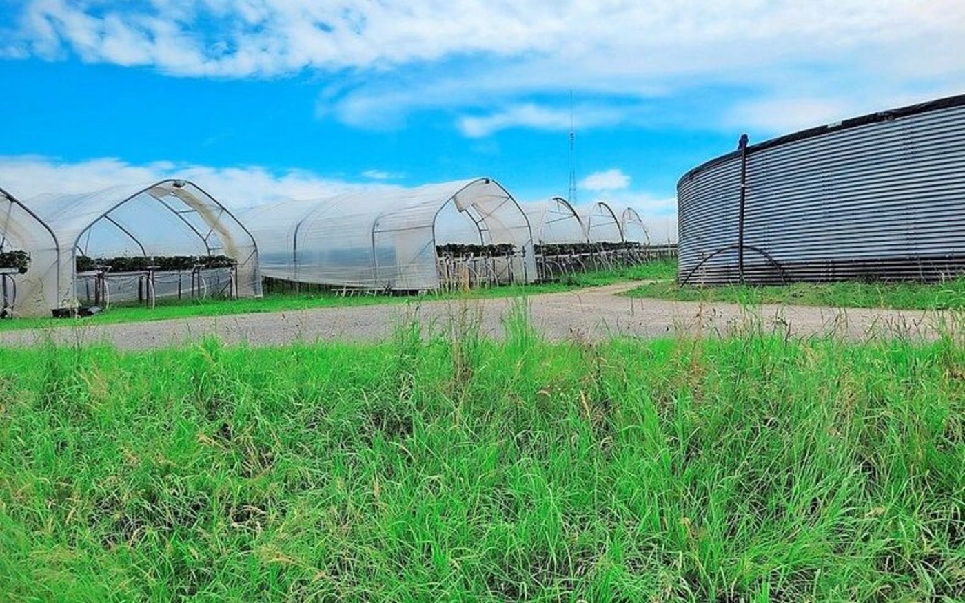 Wasser und Witterungsschutz stellen wichtige Elemente für eine erfolgreiche Produktion von Spezialkulturen dar. 