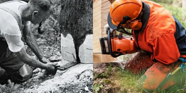 Mit der Pfeiffe im Mund würde heute niemand mehr Bäume fällen. In den Forst sind moderne Maschinen eingezogen, dank denen die Holzernte schneller und einfacher geworden ist. (Bilder Wald Schweiz)