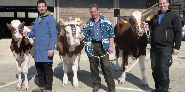 Die drei Mister von Langnau. (Bilder zVg)