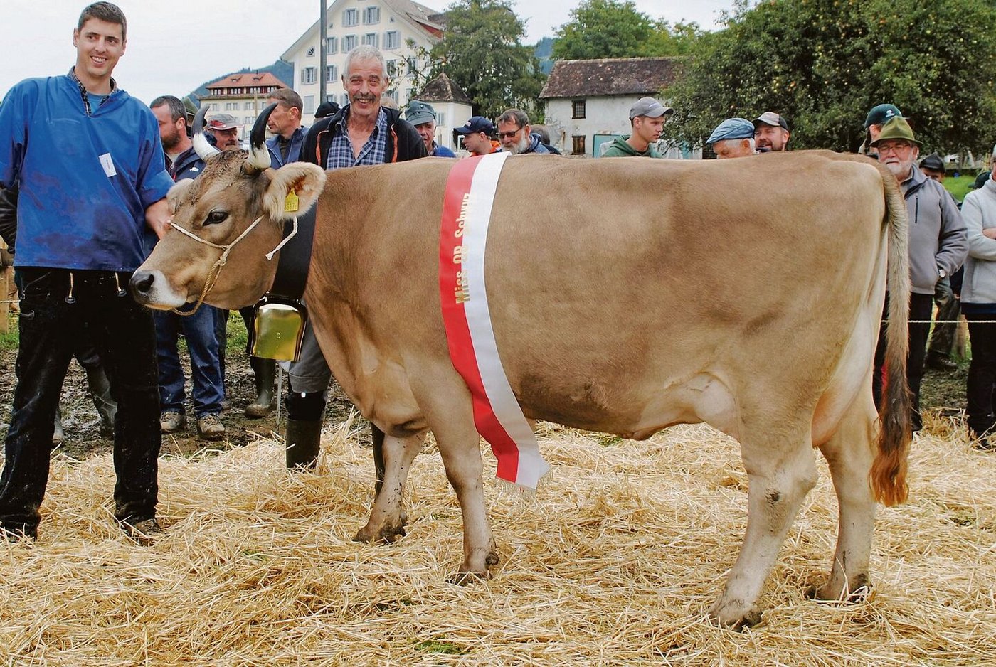 Joel Javade heisst die neue Miss Schwyz OB aus dem Stall von Paul Bürgler, Illgau.