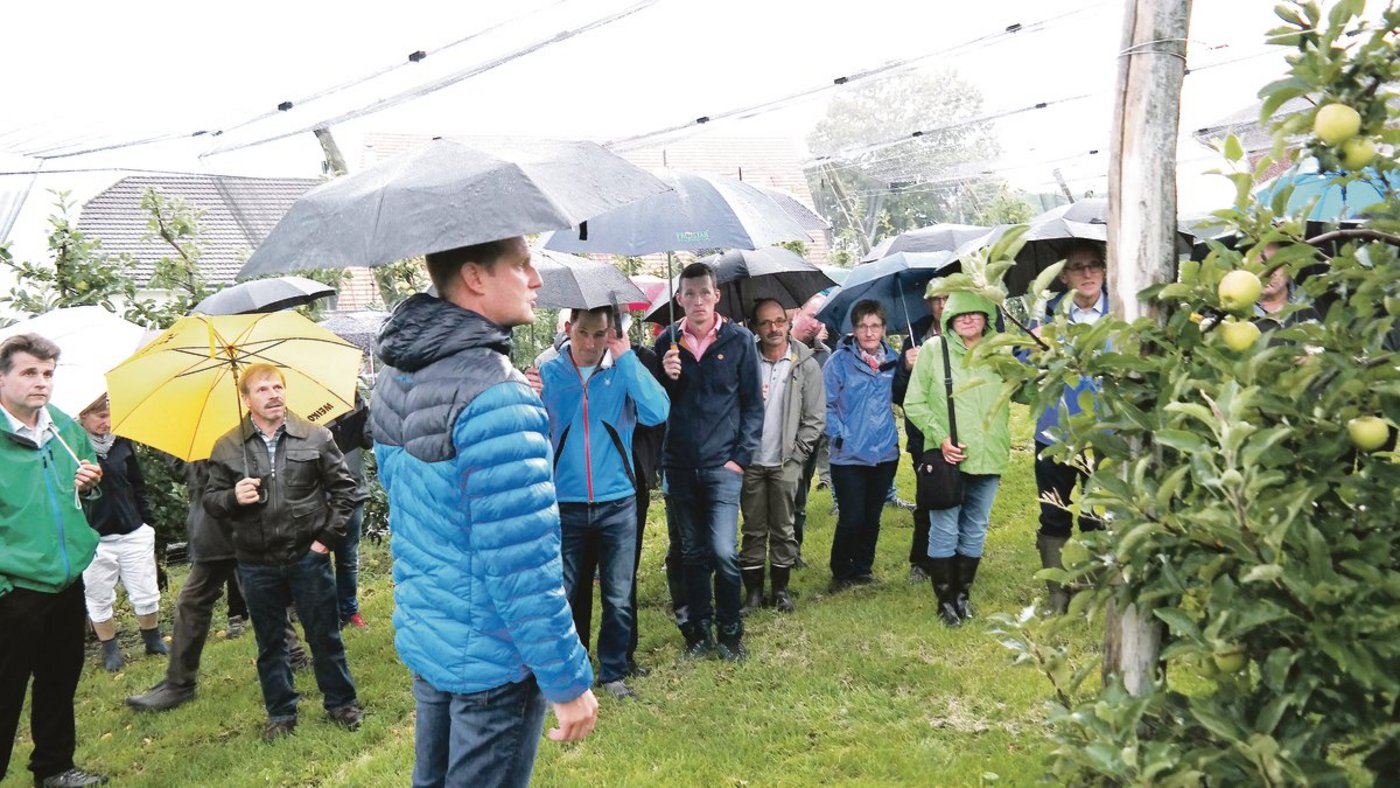 Trotz Regen: Viel Aufmerksamkeit bei den Ausführungen von Christian Steiger (vorne) in der Obstanlage Chapf. (Bild jk)