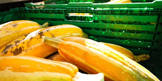 Müssen Lieferanten ihren Zahlungsverkehr über Markant abwickeln, fallen für sie hohe Gebühren ohne Gegenleistungen an.  Betroffen sind verschiedene Lieferanten des täglichen Bedarfs, darunter auch einige aus der Spirituosenbranche. (Symbolbild Photorama / Pixabay)  