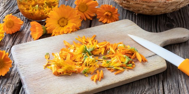 Gegen kleine Wunden: Ringelbulmenöl. Im Garten wächst gegen ganz viele Wehwehchen ein Kraut. (Bild Adobestock)